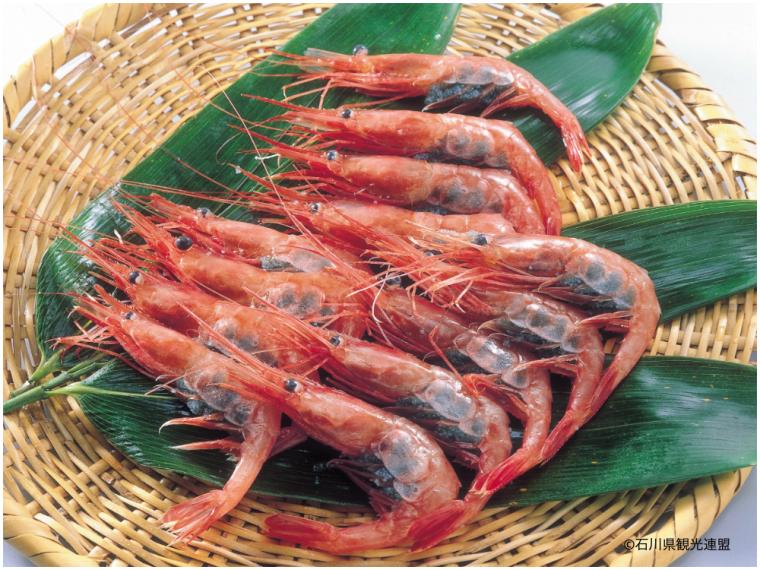 【冬の味覚トリビア特集】甘えび、カニ、金沢おでん。石川・金沢の美味しいものを食べ尽くそう！