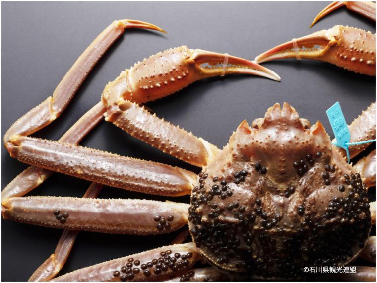 【冬の味覚トリビア特集】甘えび、カニ、金沢おでん。石川・金沢の美味しいものを食べ尽くそう！