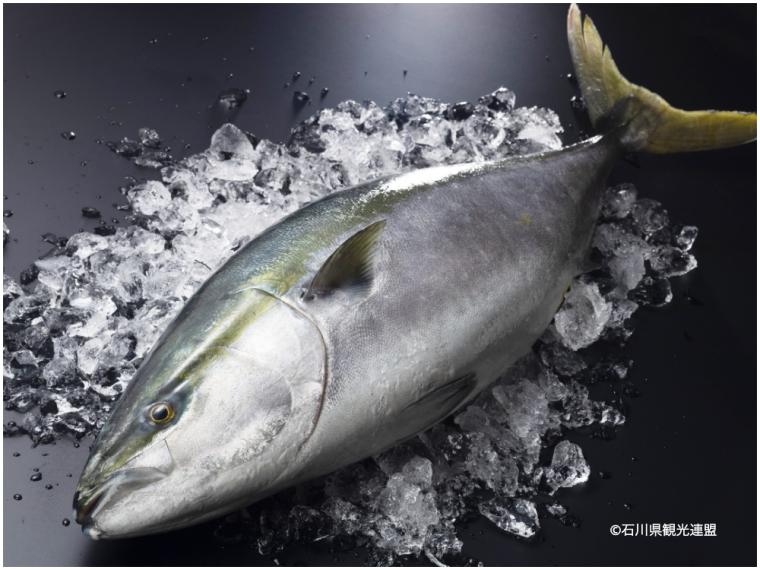 【冬の味覚トリビア特集】甘えび、カニ、金沢おでん。石川・金沢の美味しいものを食べ尽くそう！