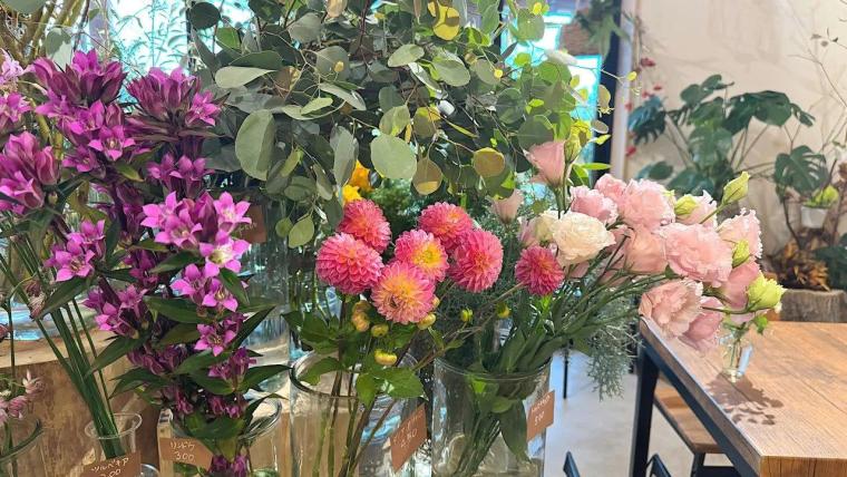 緑いっぱいのカフェで手作りパンのランチ【Bloom Note】富山市の花屋さん＆カフェ