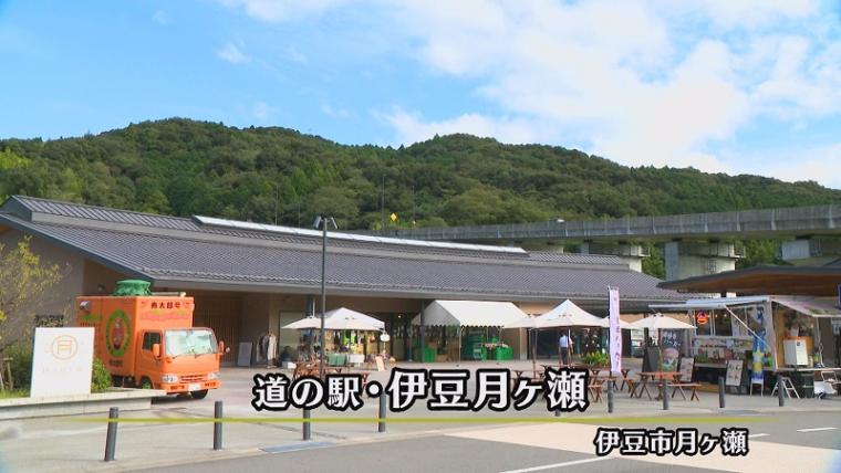 【静岡県伊豆市・伊豆月ケ瀬】道の駅名物「ズガニラーメン」 カ ニの旨みたっぷりの濃厚スープがクセになる！