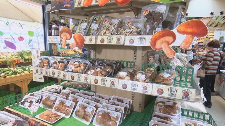 【静岡県伊豆市・伊豆月ケ瀬】道の駅名物「ズガニラーメン」 カ ニの旨みたっぷりの濃厚スープがクセになる！