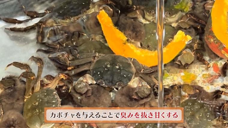 【静岡県伊豆市・伊豆月ケ瀬】道の駅名物「ズガニラーメン」 カ ニの旨みたっぷりの濃厚スープがクセになる！