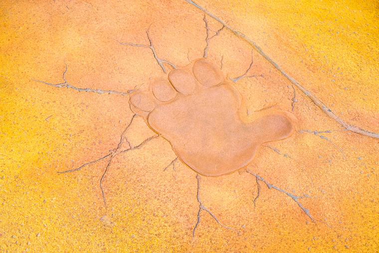 USJ「ドンキーコング」新エリア