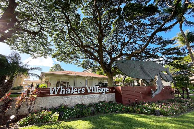 ホエラーズ・ヴィレッジ