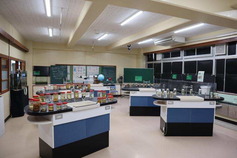 むろと廃校水族館の標本室