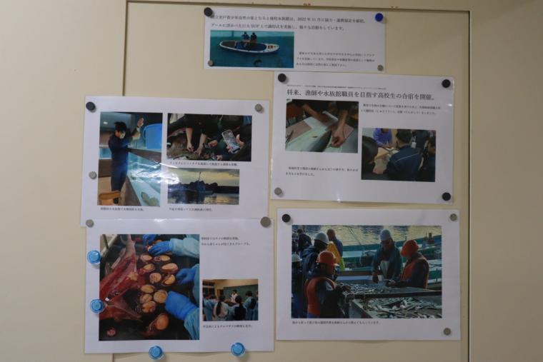 むろと廃校水族館の活動報告書の掲示