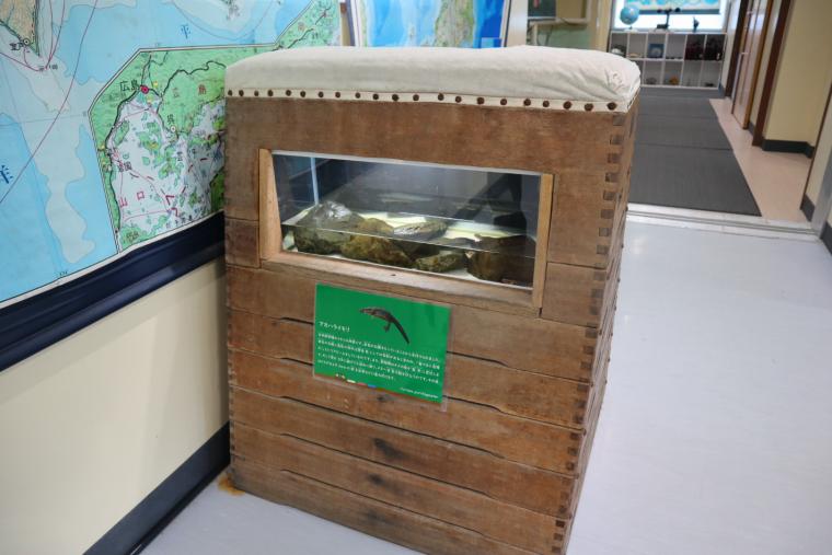 跳び箱を活用した水槽