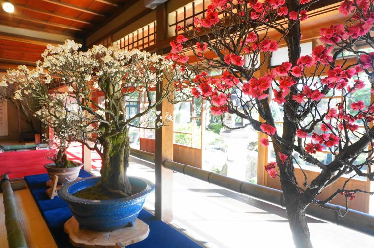 絶景に大満足！冬景色を楽しむ2時間半の船旅「びわ湖縦走 雪見船クルーズ」