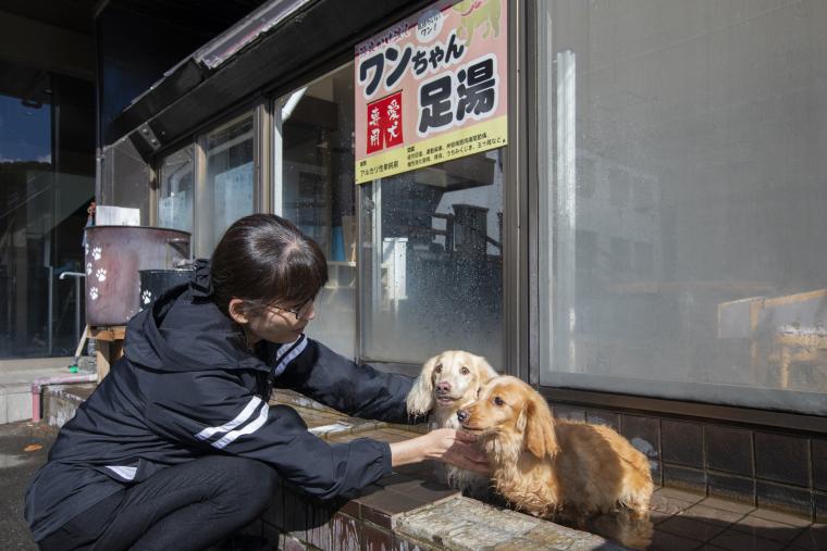 北海道「湯元ホロホロ山荘」ワンちゃん足湯