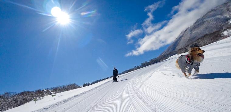 「黒姫高原スノーパーク」ノンリードコース