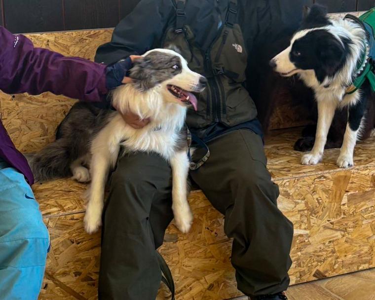 「黒姫高原スノーパーク」前山プラザ内