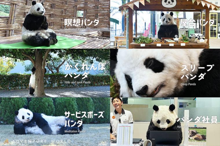 アドベンチャーワールド「新種パンダワールド」