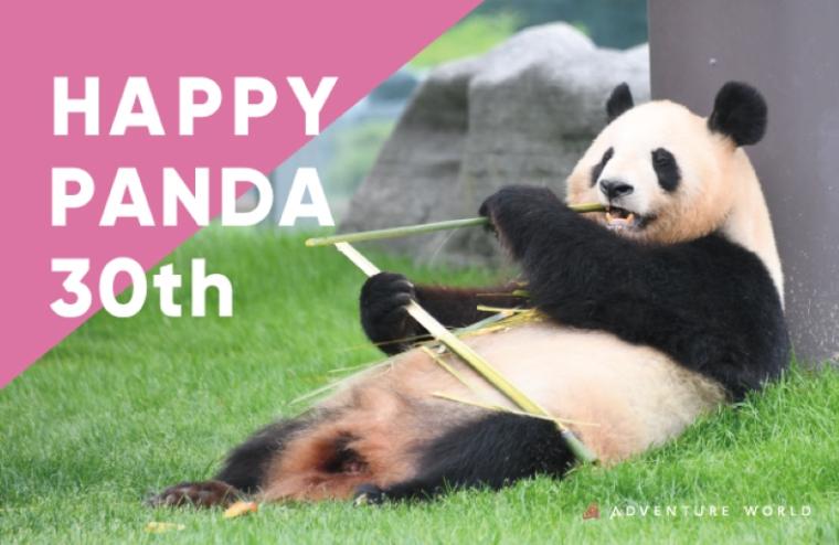 アドベンチャーワールド「HAPPY PANDA 30th」