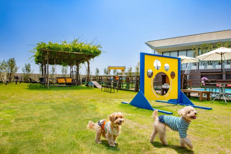 体重・頭数制限なし！長崎島原温泉「ホテル南風楼」に愛犬と泊まれる一棟貸別棟が登場