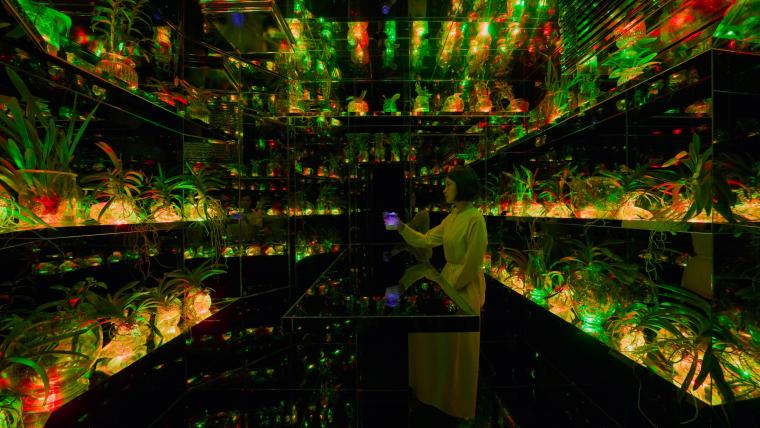 チームラボプラネッツ「共鳴するナーサリーランプ」