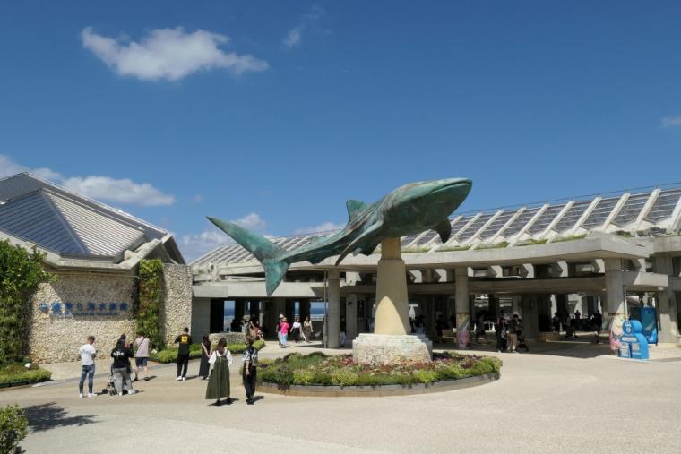 沖縄美ら海水族館