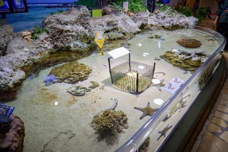 沖縄美ら海水族館