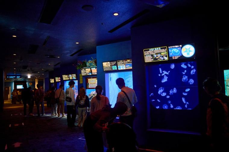 沖縄美ら海水族館