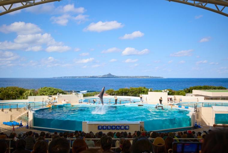 沖縄美ら海水族館