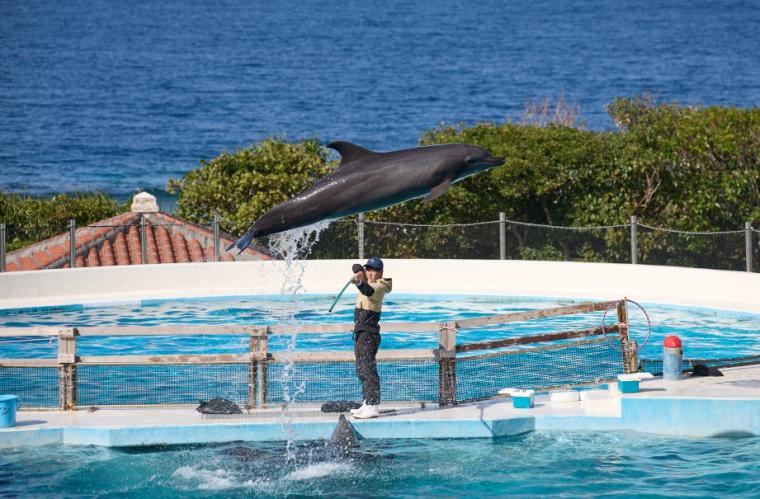 沖縄美ら海水族館