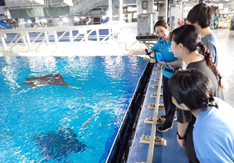 沖縄美ら海水族館