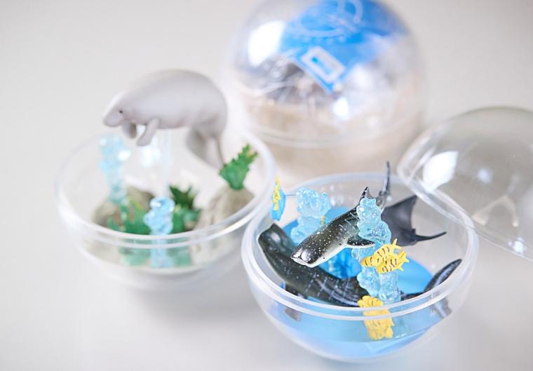 沖縄美ら海水族館