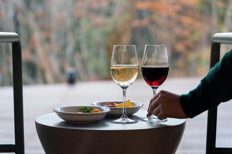 白馬みずばしょう温泉 ホテルシェラリゾート白馬