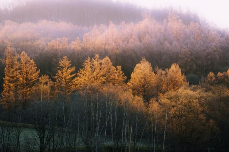 【自然が作る芸術作品】日本で一番寒い町、何もかも凍った世界は圧巻…　北海道・十勝在住カメラマンがとらえた絶景