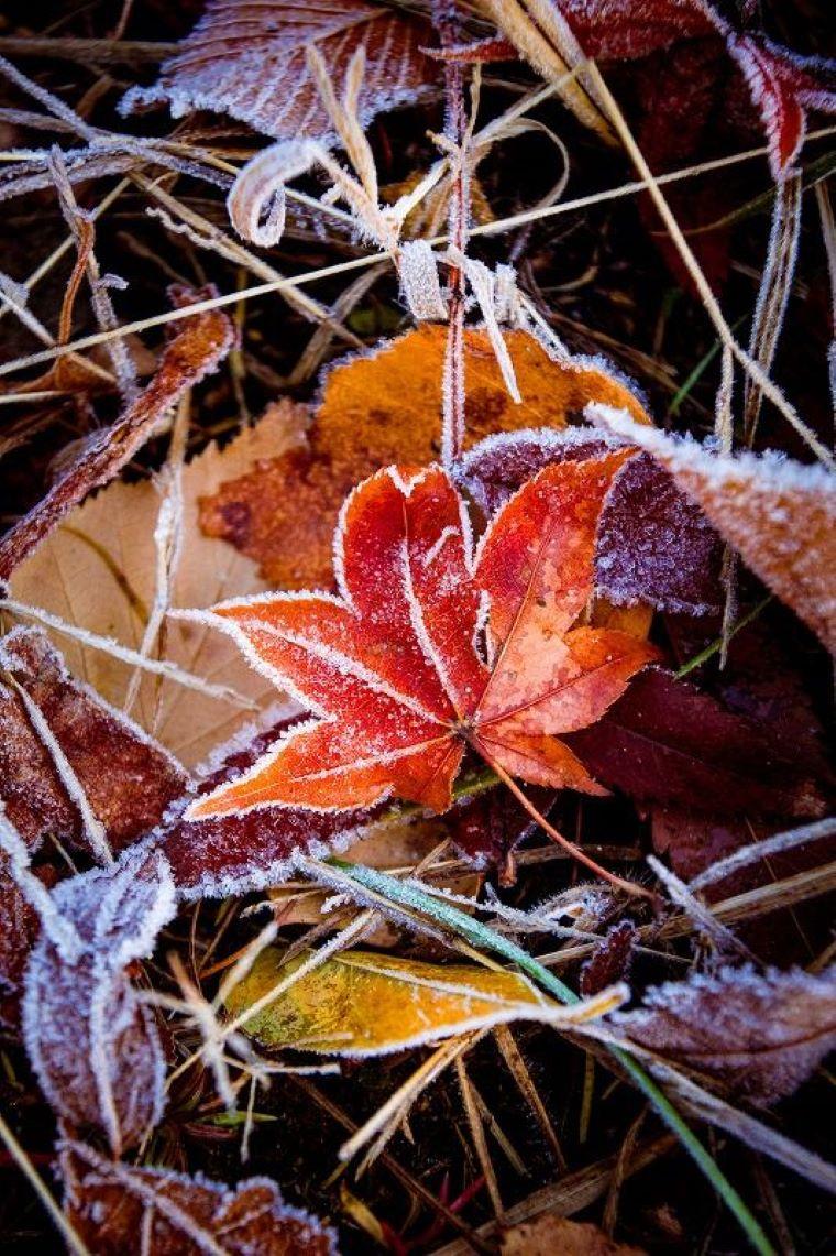 【自然が作る芸術作品】日本で一番寒い町、何もかも凍った世界は圧巻…　北海道・十勝在住カメラマンがとらえた絶景