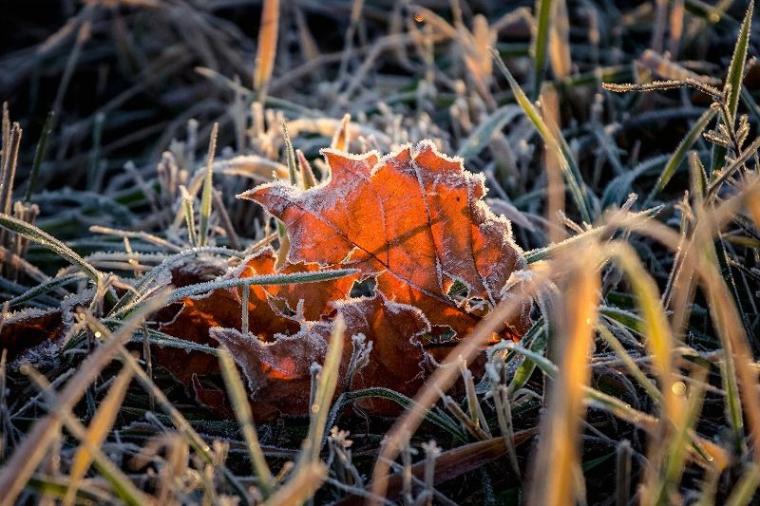 【自然が作る芸術作品】日本で一番寒い町、何もかも凍った世界は圧巻…　北海道・十勝在住カメラマンがとらえた絶景