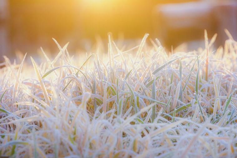 【自然が作る芸術作品】日本で一番寒い町、何もかも凍った世界は圧巻…　北海道・十勝在住カメラマンがとらえた絶景
