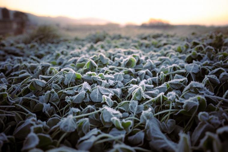 【自然が作る芸術作品】日本で一番寒い町、何もかも凍った世界は圧巻…　北海道・十勝在住カメラマンがとらえた絶景