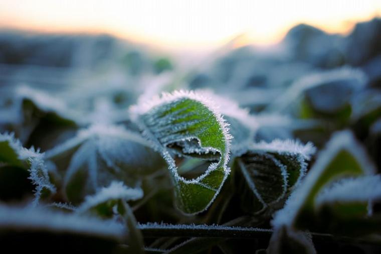 【自然が作る芸術作品】日本で一番寒い町、何もかも凍った世界は圧巻…　北海道・十勝在住カメラマンがとらえた絶景