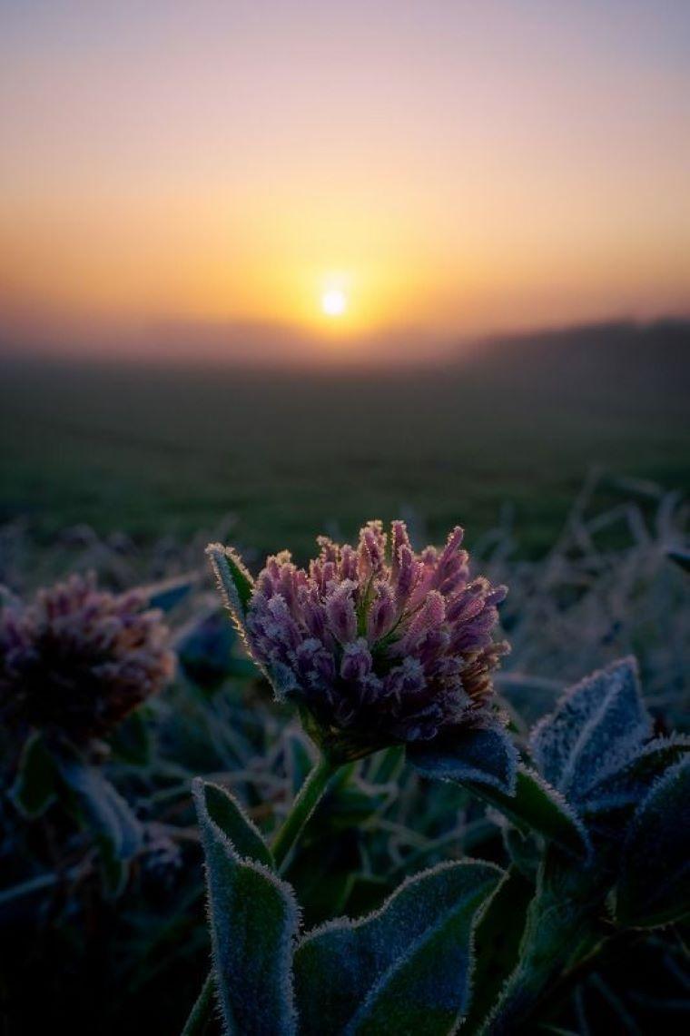 【自然が作る芸術作品】日本で一番寒い町、何もかも凍った世界は圧巻…　北海道・十勝在住カメラマンがとらえた絶景