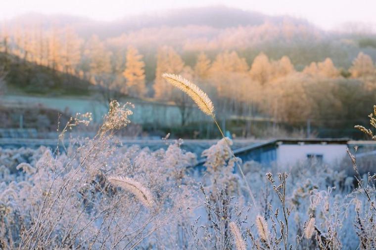 【自然が作る芸術作品】日本で一番寒い町、何もかも凍った世界は圧巻…　北海道・十勝在住カメラマンがとらえた絶景
