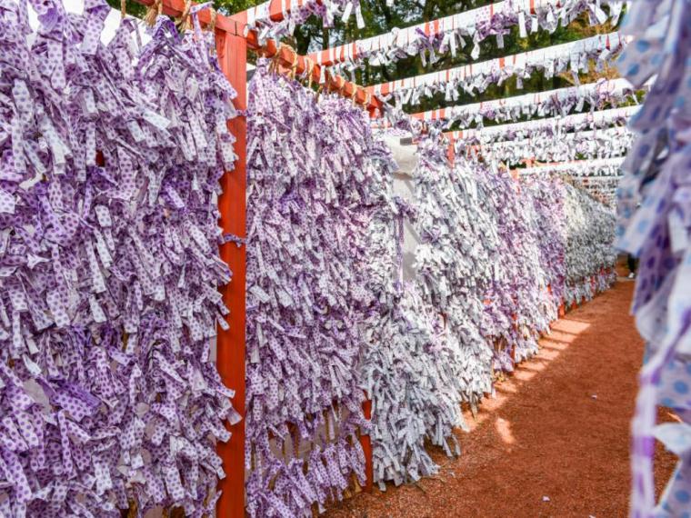 女子旅におすすめ！金沢最古の神社｜石川県金沢市『石浦神社』