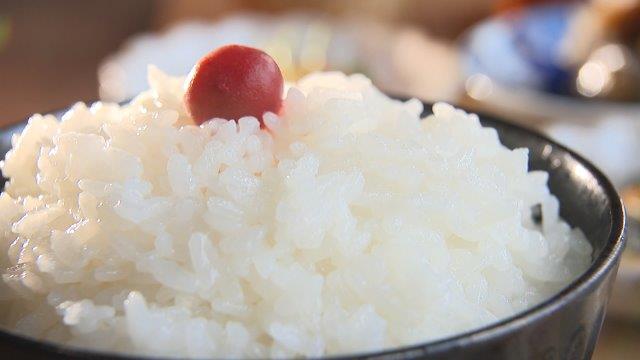 朝食革命で「ほっこりする」大分の絶品朝ごはん