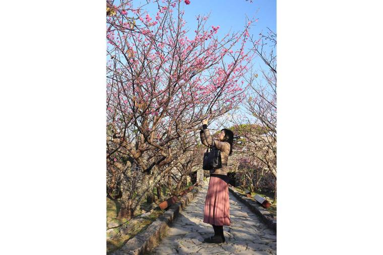 1月・2月・3月の沖縄旅行におすすめの服装は？気候や紫外線をもとに徹底解説！【地元民からのコメントあり】