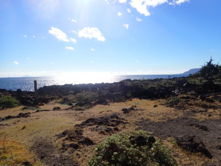 【静岡県伊東市・城ヶ崎海岸】まるっ! 自然の芸術“丸い石”の謎 どこでいつ見られるか解説