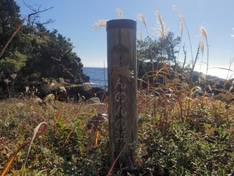 【静岡県伊東市・城ヶ崎海岸】まるっ! 自然の芸術“丸い石”の謎 どこでいつ見られるか解説