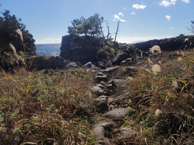 【静岡県伊東市・城ヶ崎海岸】まるっ! 自然の芸術“丸い石”の謎 どこでいつ見られるか解説