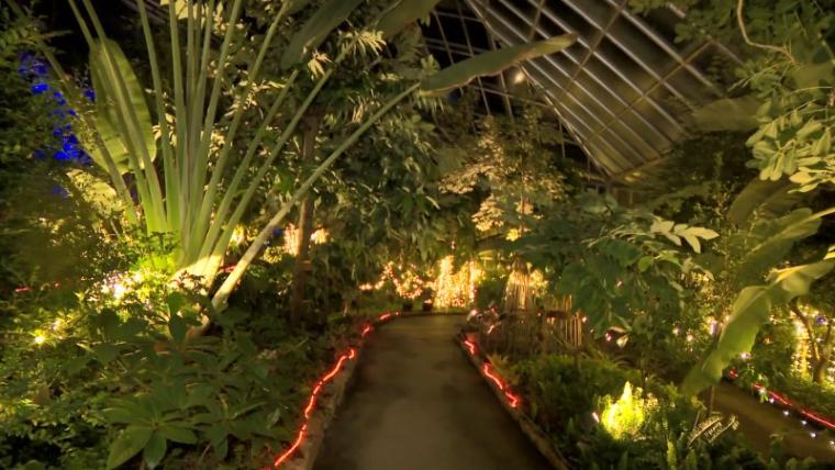 【静岡県浜松市・フルーツパーク】温室で南国イルミネーション たわわに実る果物イルミがおいしそう！