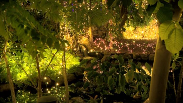 【静岡県浜松市・フルーツパーク】温室で南国イルミネーション たわわに実る果物イルミがおいしそう！