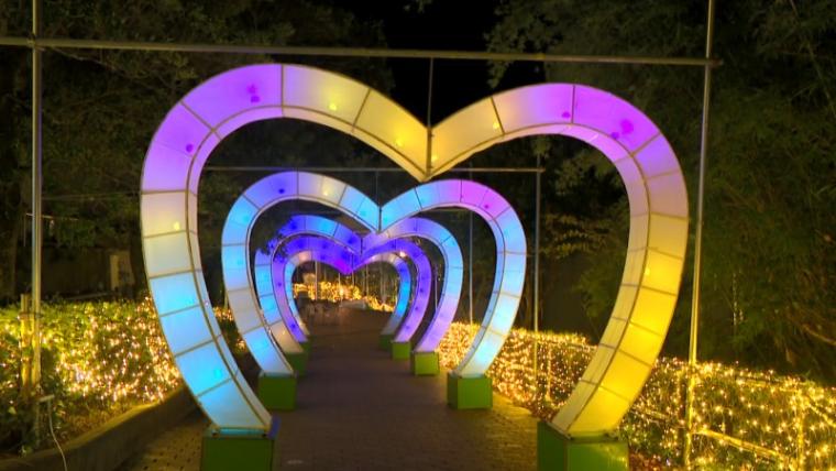 【静岡県浜松市・フルーツパーク】温室で南国イルミネーション たわわに実る果物イルミがおいしそう！