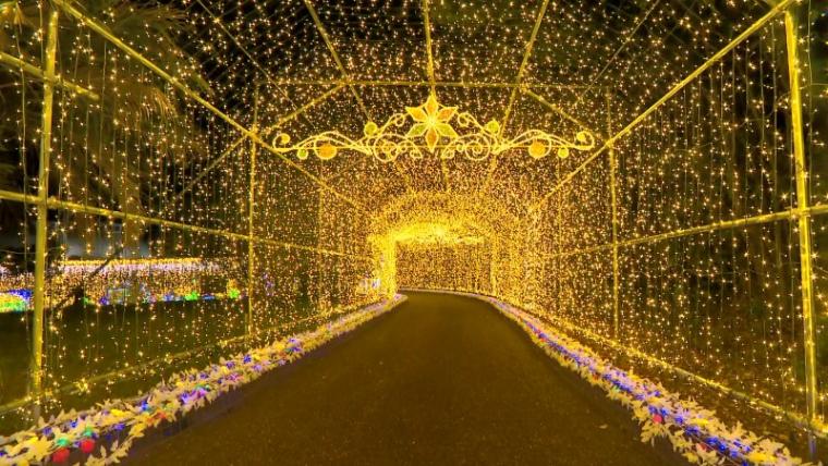 【静岡県浜松市・フルーツパーク】温室で南国イルミネーション たわわに実る果物イルミがおいしそう！