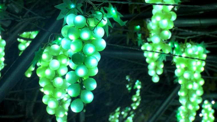 【静岡県浜松市・フルーツパーク】温室で南国イルミネーション たわわに実る果物イルミがおいしそう！