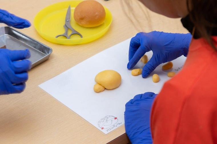 わくわくパン作り体験