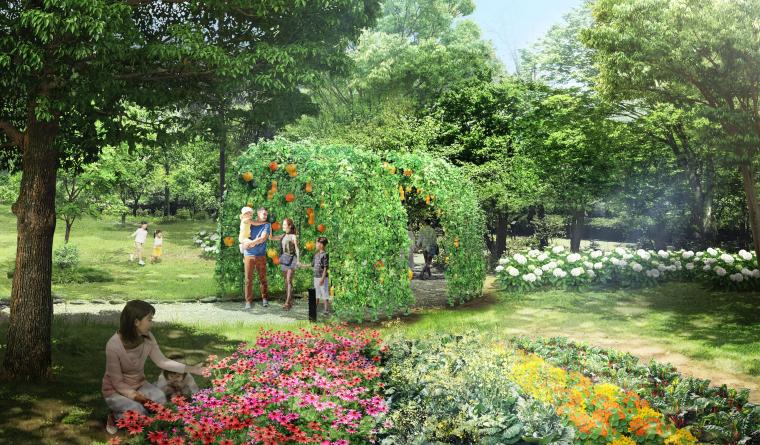 「Gunma Flower Park +」野菜の花畑