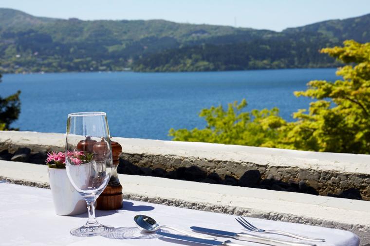 小田急 山のホテル